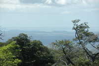  2007-12-10 14.08.34.JPG 